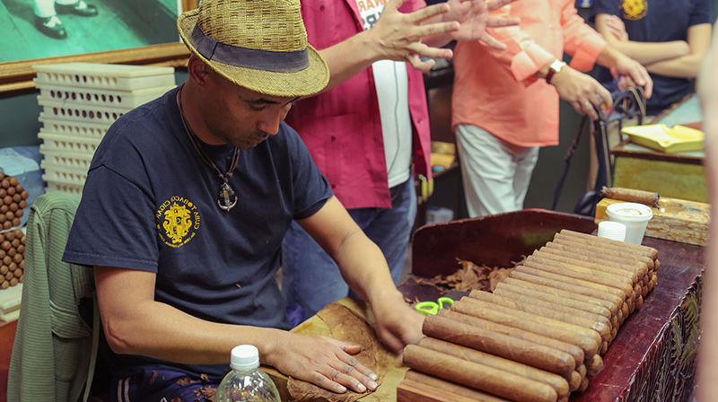 Watch a cigar roller do his thing doing the Little Havana Food Tour. 