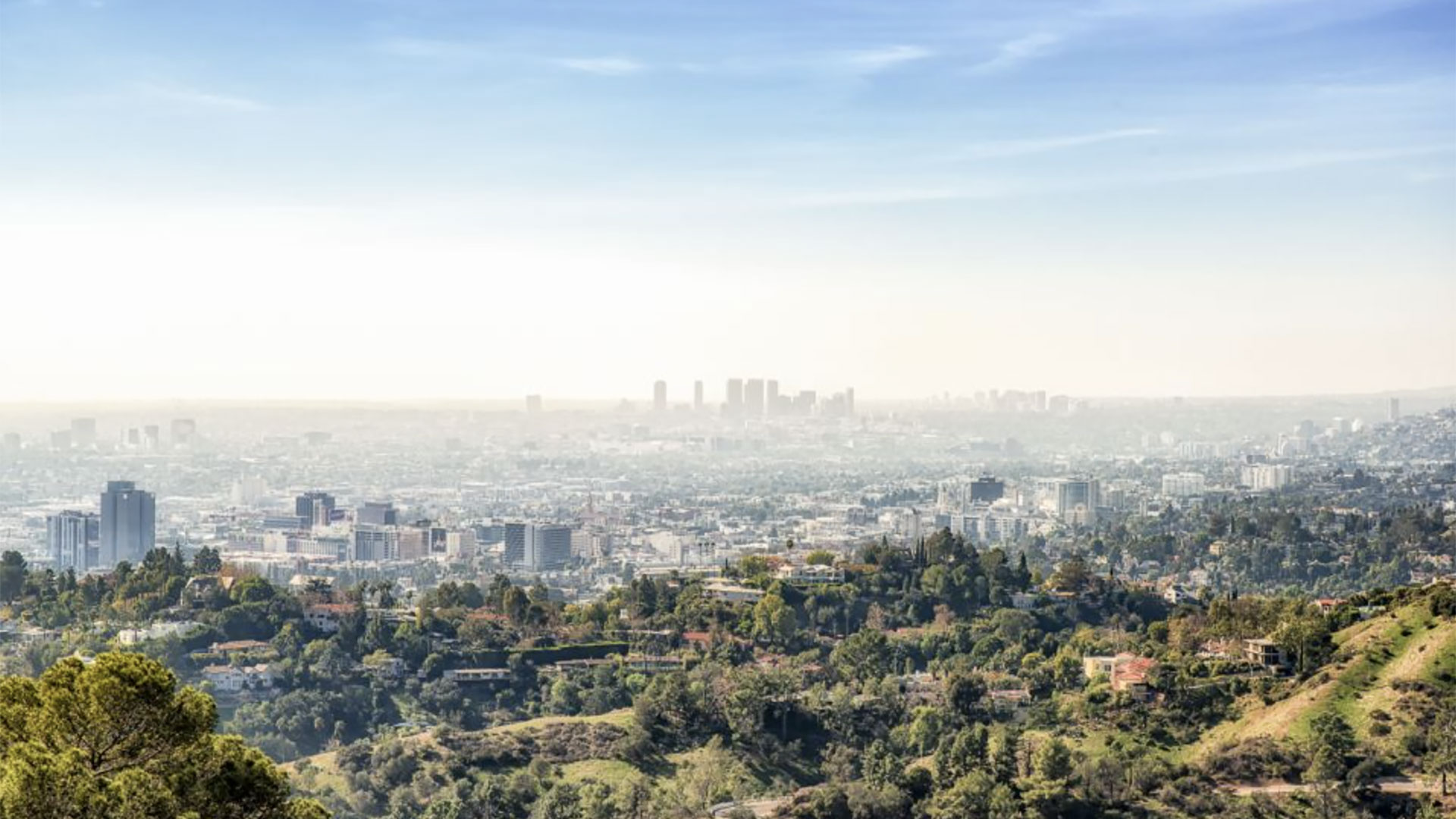 Hollywood Celebrity Homes Tour 03