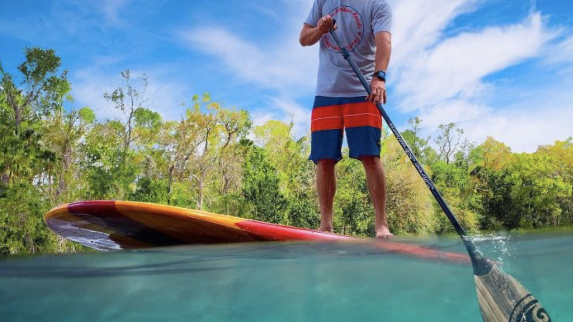 Dolphin and Manatee Paddle or Kayak Tour 02